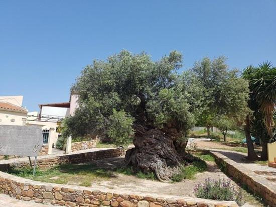 Villa Margarita'S Farm, Private Pool Maláthirosz Kültér fotó